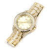 Raonhazae Hip Hop Iced Lab Diamond Akon 14K Gold Plated Watch with Stone - G11 - Raonhazae